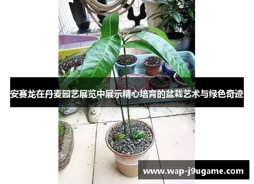 安赛龙在丹麦园艺展览中展示精心培育的盆栽艺术与绿色奇迹
