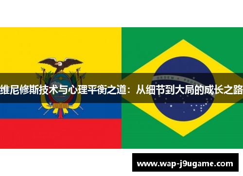 维尼修斯技术与心理平衡之道：从细节到大局的成长之路