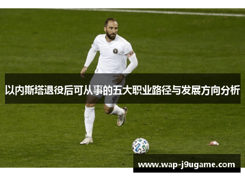 以内斯塔退役后可从事的五大职业路径与发展方向分析