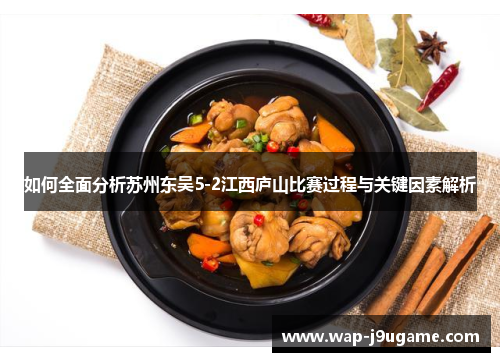 如何全面分析苏州东吴5-2江西庐山比赛过程与关键因素解析