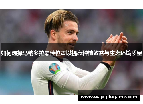 如何选择马纳多拉最佳位置以提高种植效益与生态环境质量